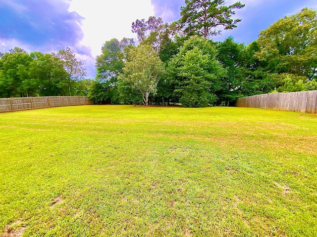503 Cedar Grove Ln, Enterprise, AL 36330 - view of yard