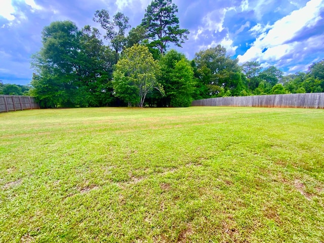 503 Cedar Grove Ln, Enterprise, AL 36330 - view of yard
