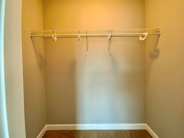 503 Cedar Grove Ln, Enterprise, AL 36330 - walk in closet featuring carpet flooring