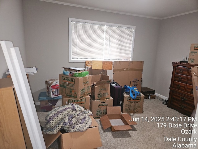 179 Dixie Dr, Ozark, AL 36360 - view of storage