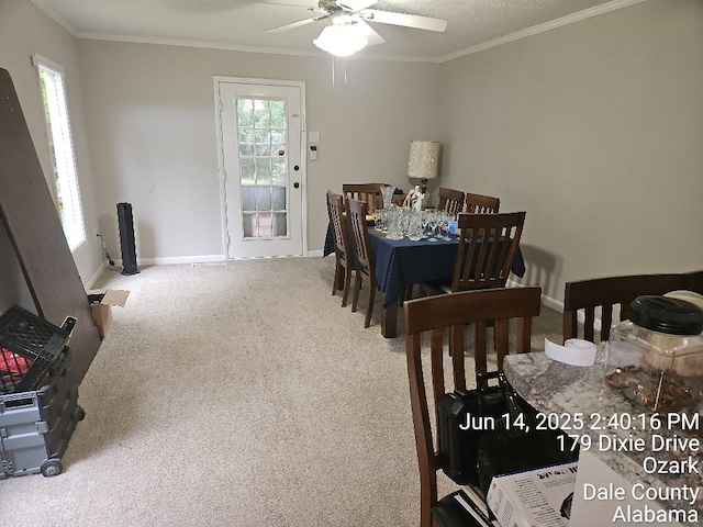 179 Dixie Dr, Ozark, AL 36360 - carpeted dining area with ceiling fan and ornamental molding