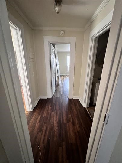 corridor with dark wood-type flooring and ornamental molding