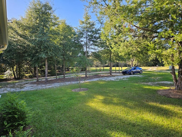 view of community with a lawn