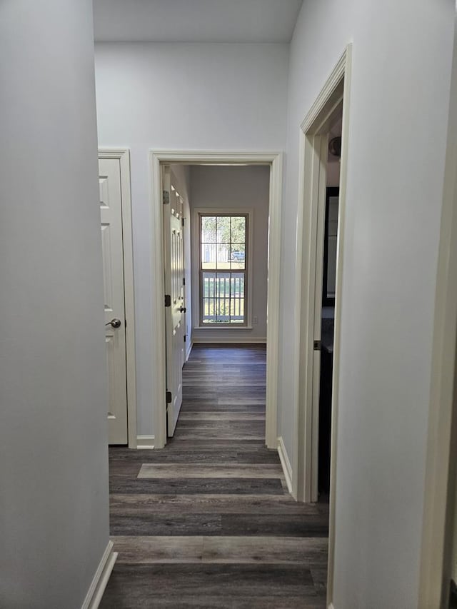 corridor featuring dark hardwood / wood-style flooring