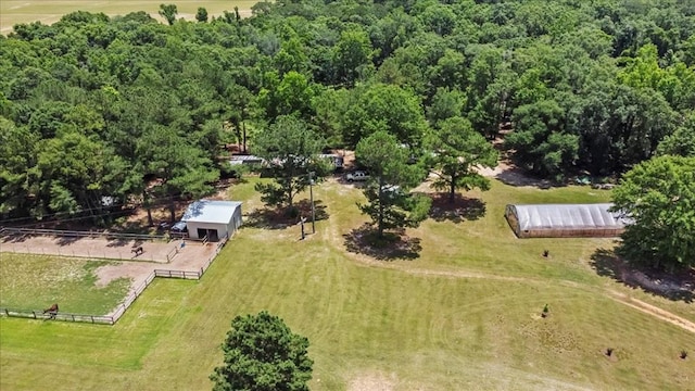 3195 Singletary Rd, Slocomb, AL 36375 - drone / aerial view of a forest
