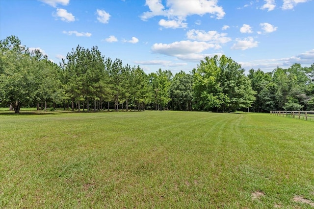 3195 Singletary Rd, Slocomb, AL 36375 - view of yard