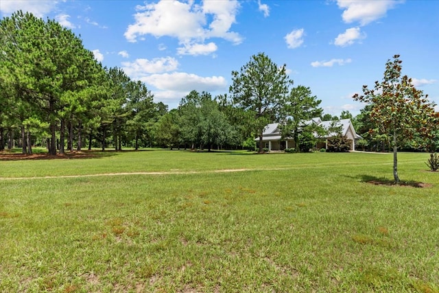 3195 Singletary Rd, Slocomb, AL 36375 - view of green lawn