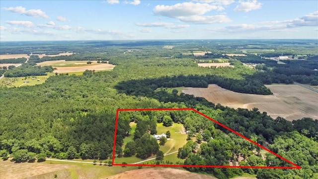 3195 Singletary Rd, Slocomb, AL 36375 - view of property location featuring property parcel outlined and a heavily wooded area