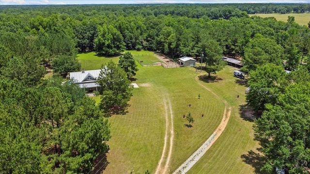 3195 Singletary Rd, Slocomb, AL 36375 - aerial view of a forest