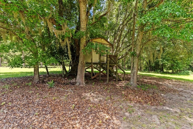 3195 Singletary Rd, Slocomb, AL 36375 - view of yard