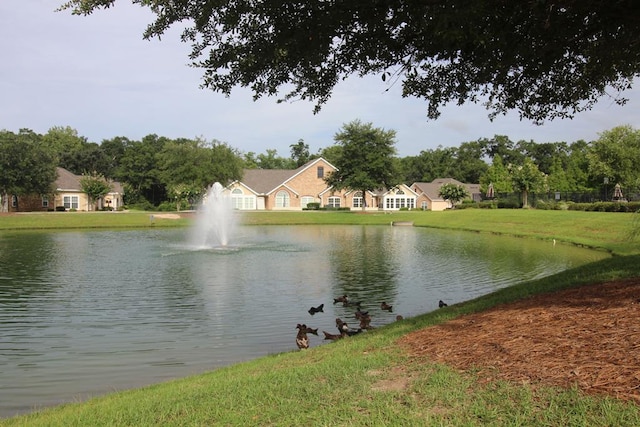 128 Hidden Creek Cir, Dothan, AL 36301 - water view