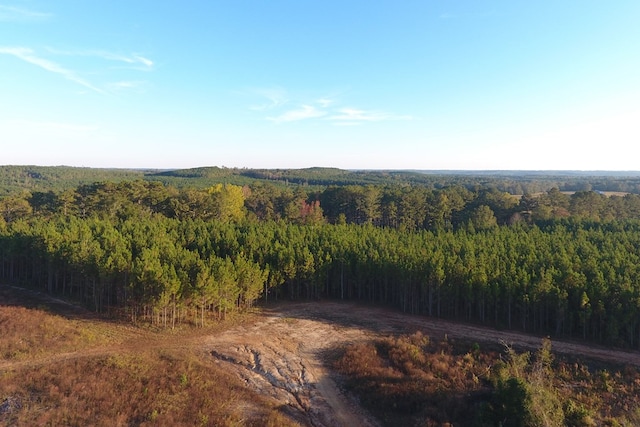 Listing photo 2 for 45AC County Road 228, Elba AL 36323