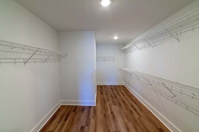 spacious closet with dark wood finished floors