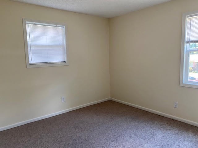 2308 Debbie Dr, Dothan, AL 36301 - empty room with carpet flooring and plenty of natural light