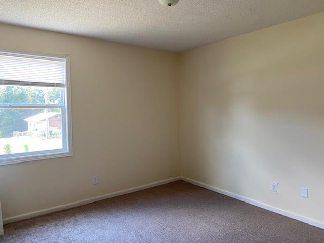 2308 Debbie Dr, Dothan, AL 36301 - unfurnished room with plenty of natural light, carpet flooring, and a textured ceiling