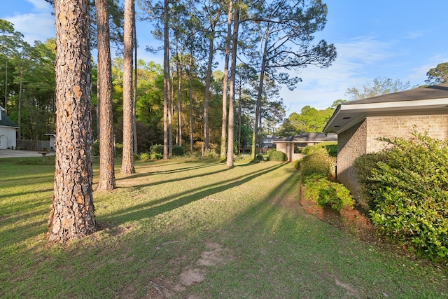 view of yard