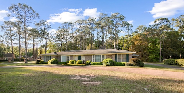 ranch-style house featuring curved driveway, a front lawn, and brick siding
