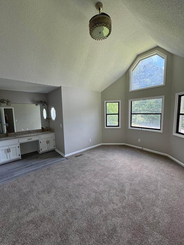 107 Comanche Cir, Enterprise, AL 36330 - unfurnished living room featuring dark carpet, a textured ceiling, and vaulted ceiling