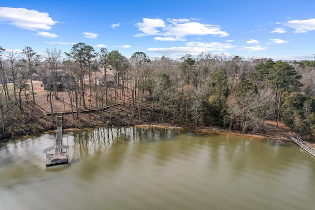 property view of water with a boat dock