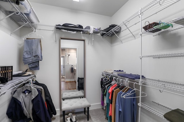 walk in closet with carpet floors