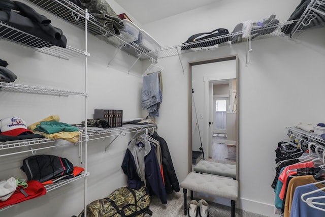 walk in closet featuring carpet floors