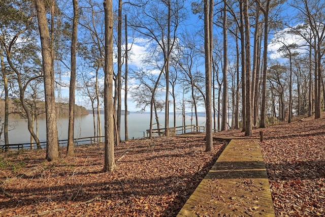 view of yard with a water view