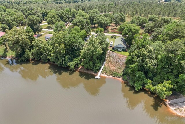 876 Boat Landing Rd, Gordon, AL 36343 - bird's eye view of a forest and a large body of water
