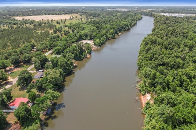 876 Boat Landing Rd, Gordon, AL 36343 - aerial view of property and surrounding area with a large body of water and a forest