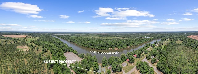 876 Boat Landing Rd, Gordon, AL 36343 - bird's eye view of a heavily wooded area and a nearby body of water