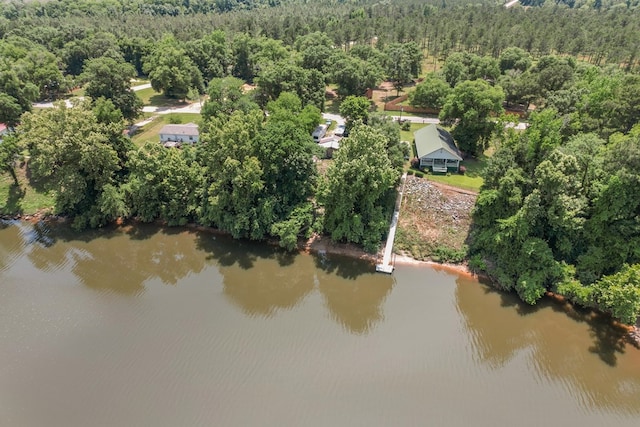 876 Boat Landing Rd, Gordon, AL 36343 - drone / aerial view of a forest and a large body of water
