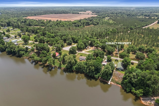 876 Boat Landing Rd, Gordon, AL 36343 - bird's eye view of a heavily wooded area and a nearby body of water