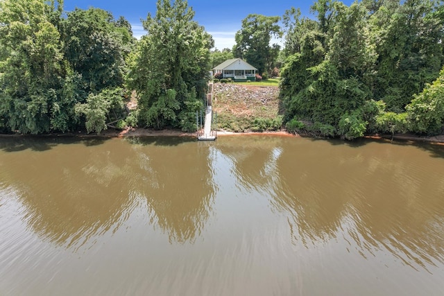 876 Boat Landing Rd, Gordon, AL 36343 - water view