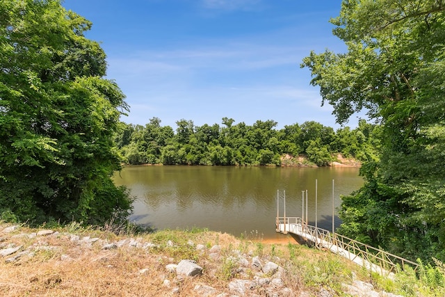 876 Boat Landing Rd, Gordon, AL 36343 - water view featuring a dock and a forest