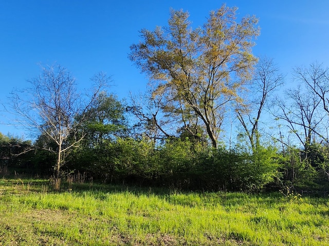 view of nature