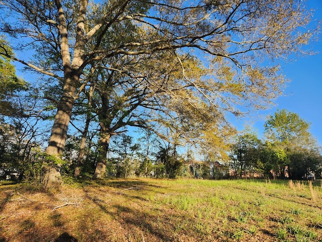 view of nature