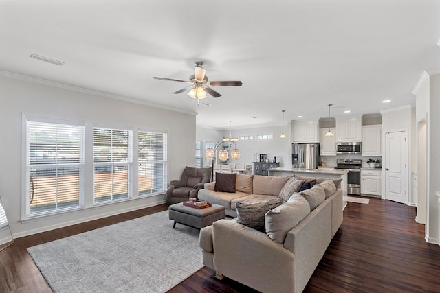 living room with ceiling fan with notable chandelier, ornamental molding, and dark wood-type flooring