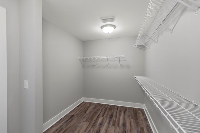 walk in closet with dark hardwood / wood-style flooring