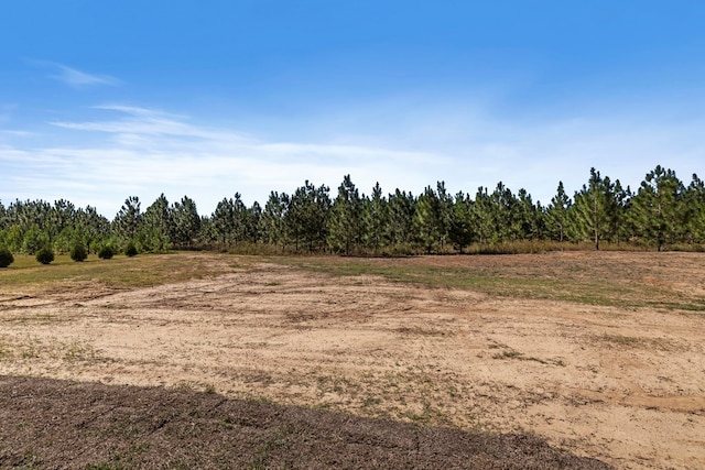 view of local wilderness with a rural view