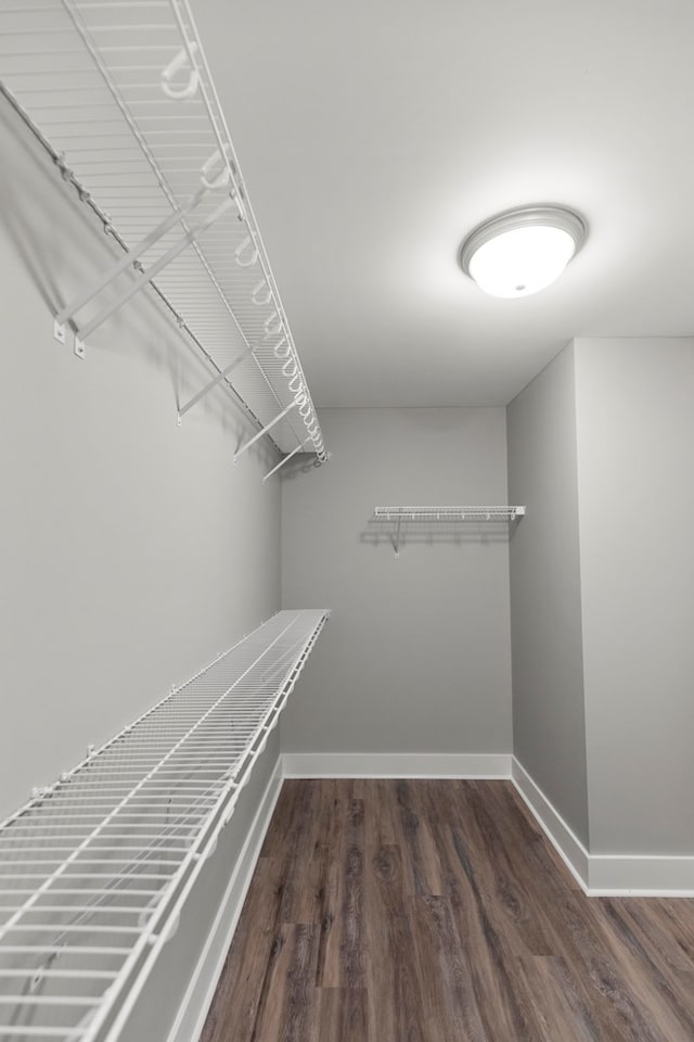 walk in closet with dark wood-type flooring