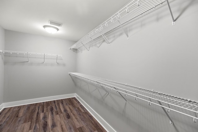 walk in closet with dark hardwood / wood-style flooring