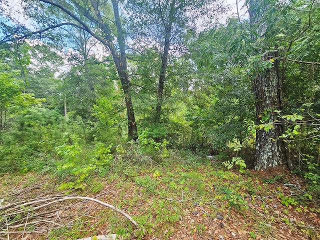 200 Phillips St, Abbeville, AL 36310