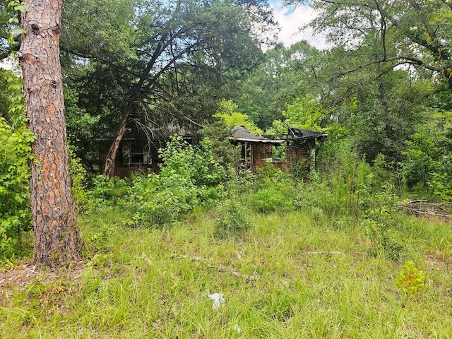 200 Phillips St, Abbeville, AL 36310