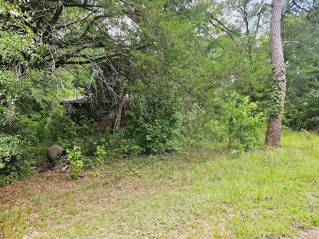 200 Phillips St, Abbeville, AL 36310