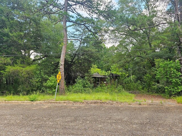 200 Phillips St, Abbeville, AL 36310