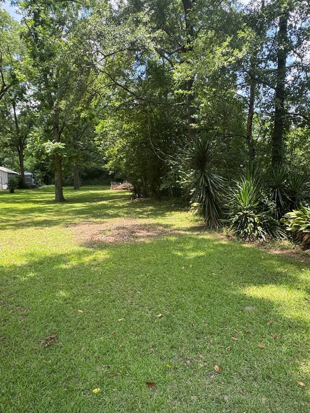 319 Headland Ave, Dothan, AL 36303 - photo 3