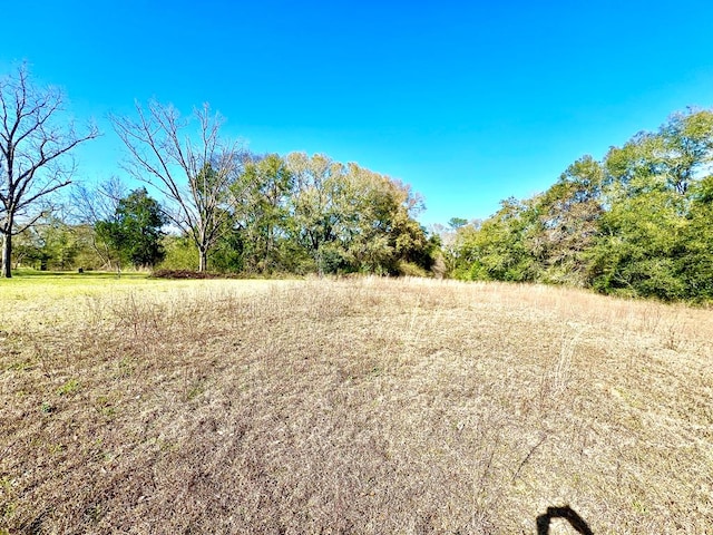 Listing photo 2 for 0 State Highway 134 E, Headland AL 36345