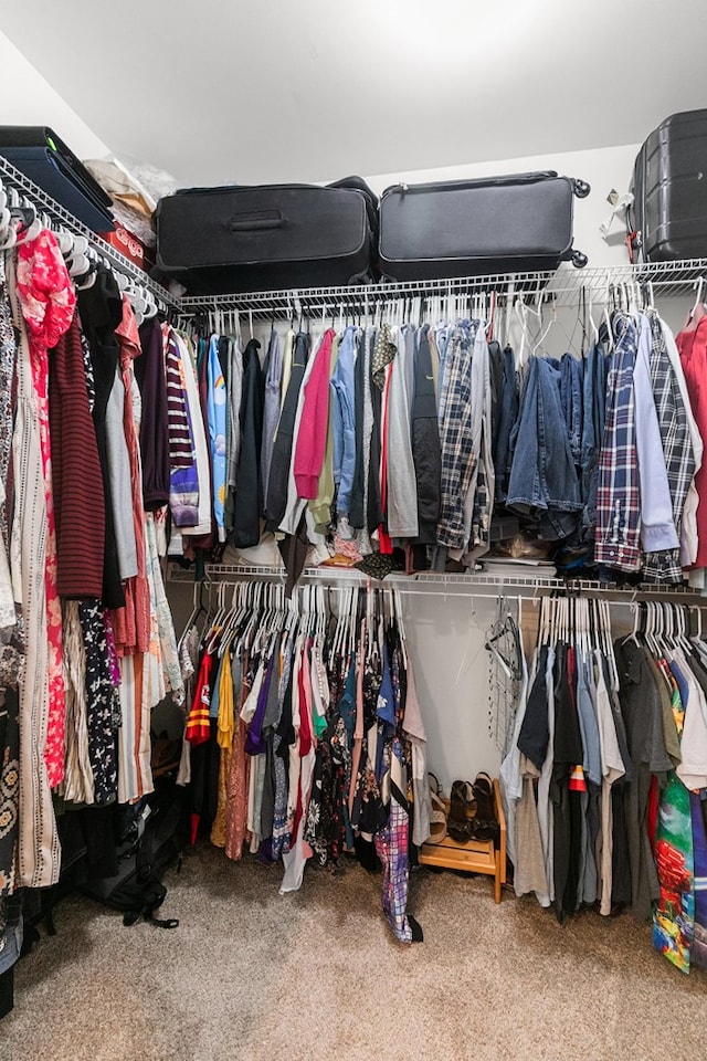 318 Oconee Dr, Midland City, AL 36350 - spacious closet with carpet floors