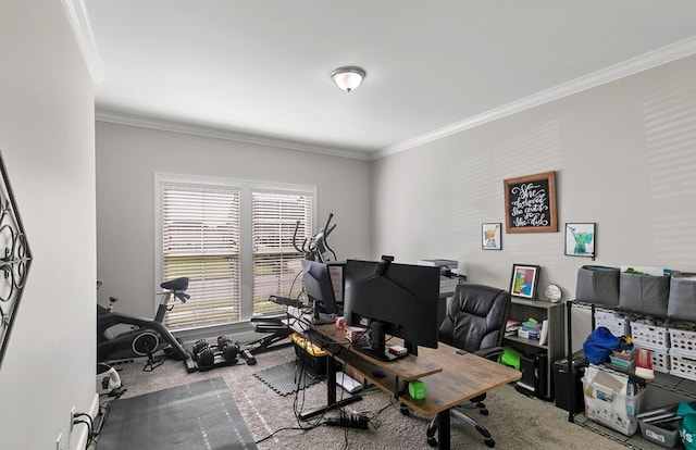 318 Oconee Dr, Midland City, AL 36350 - home office with carpet and crown molding