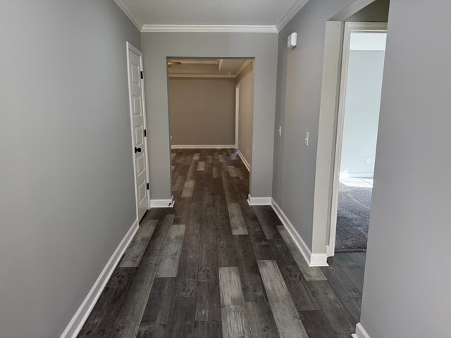 hallway featuring crown molding and dark wood-type flooring