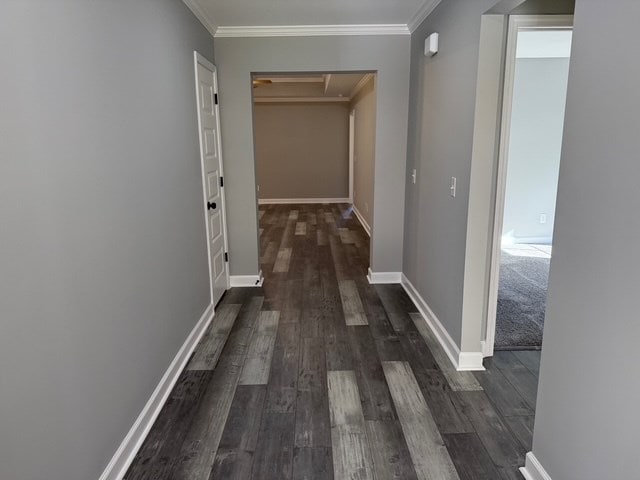 hallway with crown molding and dark wood-type flooring